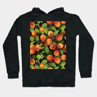 Apricot garden 1 Hoodie